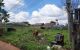 thum-8667830_8bBWjfC2Rp_1654670915.jpg