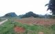 thum-8669398_zAemguaM63_1654740814.jpg
