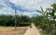 thum-m_OuDmw7a4hI_1654758095.jpeg