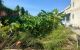 thum-m_x4fOUSsIYT_1654766999.jpg