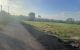 thum-8672867_PGsKCILRX5_1654850506.jpg