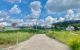 thum-m_LGow7UqYnd_1654824093.jpg