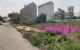 thum-m_z6wni7CEBL_1654849671.jpg