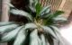 thum-8675169_Xc7UgPiEnG_1654953474.jpg