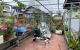 thum-8675250_1lChxornk5_1654961454.jpg
