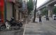 thum-8676081_pPKyfub6ND_1654997587.jpg