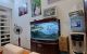 thum-8676144_zZ0CPJqpys_1654999660.jpg