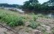 thum-8676162_5McOVQ3LN9_1655000209.jpg