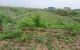 thum-8676299_LSbIcM3fRu_1655004698.jpg