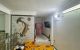 thum-8676409_Ybq3l7ZB4j_1655010273.jpg