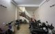 thum-8678954_DRAylzJEYr_1655110456.jpg