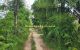 thum-m_41CcfWKTNo_1655091192.jpeg