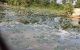 thum-m_gayoYUpcFx_1655198243.jpg