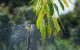 thum-8683331_slIKgyAPu5_1655274236.jpg