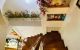 thum-m_HaubwT2G9K_1655258696.jpg