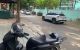 thum-8685280_8d43inbxlT_1655353783.jpg