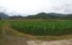 thum-8686300_QfWV9LPXy1_1655395188.jpg