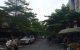 thum-m_cqFvjzAx8b_1655356592.jpg