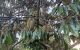 thum-8687028_g2TCSe3PpF_1655427959.jpg