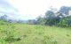 thum-8687272_4sqdXRl6w3_1655432029.jpg