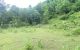 thum-8687272_d9VTeXRjGN_1655432015.jpg
