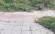 thum-8687467_BI4xb6eiWf_1655435250.JPG