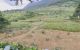 thum-8687619_MLmy8YERwd_1655438267.jpeg