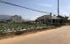 thum-8688264_SQ8eUhTYuj_1655455277.jpg