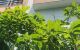 thum-m_8QLY6cVDt7_1655456469.jpg
