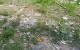 thum-m_94dBgND1Yf_1655561214.jpg