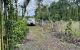 thum-m_RuvSLyHhra_1655682431.jpg