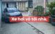 thum-m_t8EasZC24H_1655700314.jpg