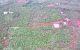 thum-8695309_7tIVGN1sOo_1655777100.jpg