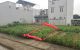 thum-8695624_Hwkv8x506O_1655782993.jpg
