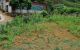 thum-8696183_Zs6yb3pce4_1655800820.jpg