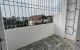 thum-8696406_tufm1R9lnp_1655811132.jpg