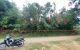 thum-8696485_6RfOKvQyTM_1655825306.jpg