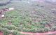 thum-m_jDNvw1s8am_1655777092.jpg