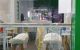 thum-8697368_xmREkSY0wd_1655859512.jpg