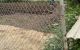 thum-m_KVJkdu9Q1o_1655887342.jpeg
