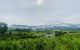 thum-m_7jc0y8t9zu_1656000839.jpg