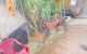 thum-8702651_1dlE4gUqOv_1656032067.jpeg