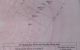 thum-8703105_64VvY7jHkC_1656044132.jpg