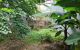thum-8703105_AD7PrvulNZ_1656044127.jpg