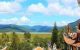 thum-8703767_3aIrSjMEmd_1656057957.jpg