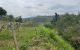 thum-8703864_kZO8Jni7C3_1656059313.jpg
