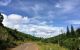 thum-m_nPDi1526m3_1656057036.jpg