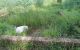 thum-8704819_hEOp4dYKIe_1656116867.jpg
