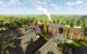 thum-m_vicOFBQMCl_1656149860.jpg