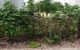thum-m_ctwoQTJLp9_1656254410.jpg